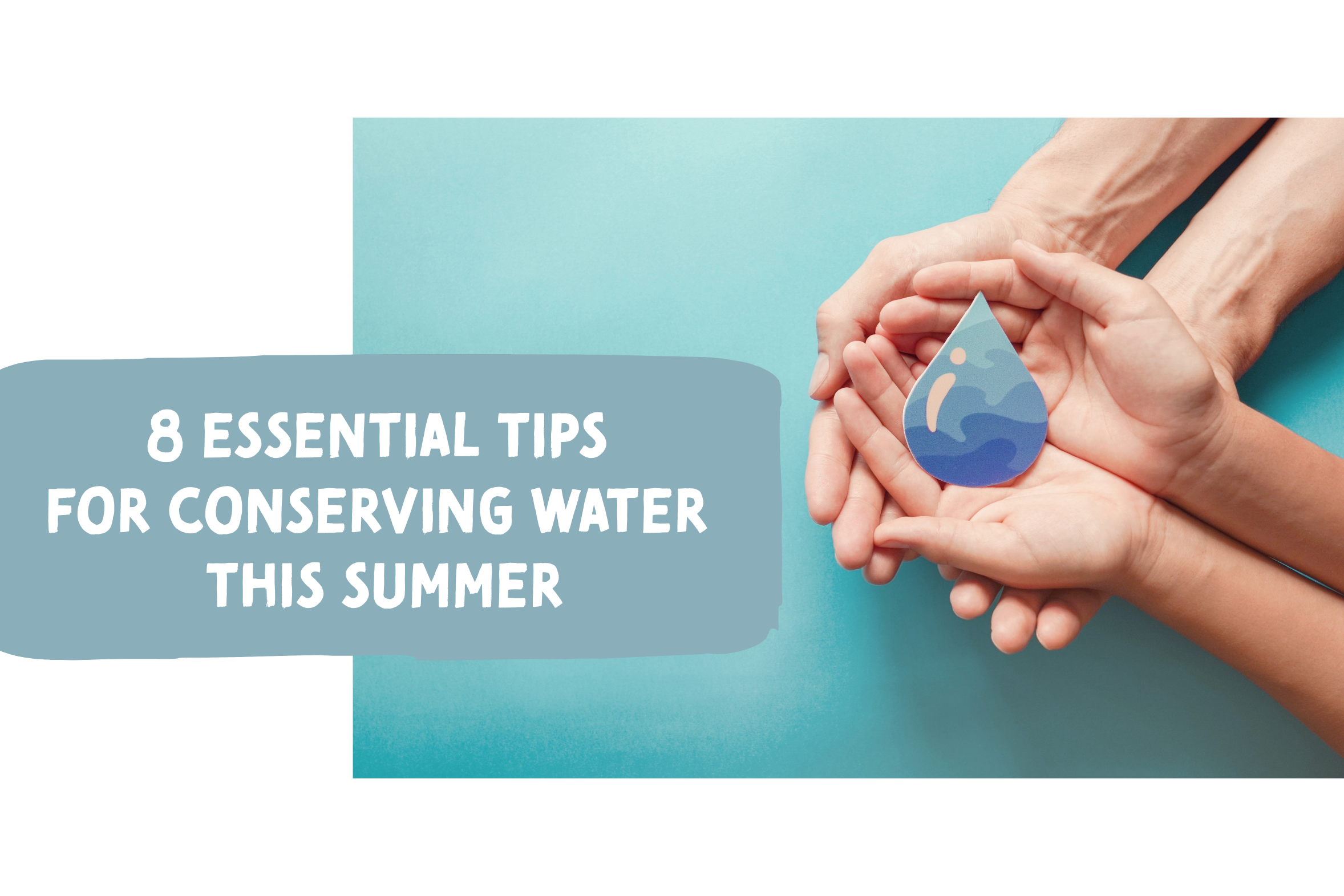 Blog on how to conserve water this summer.